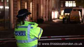 Greenwich stabbing: Man in early 20s dies