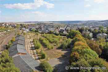 TU Chemnitz bringt Außenstelle nach Reichenbach - freiepresse.de