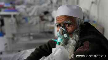 'Destroyed': Afghanistan's health system crumbles as COVID-19 wave surges