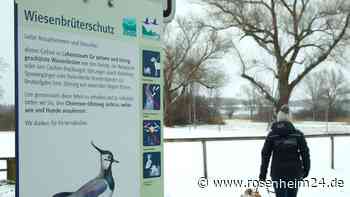 Kein Leinenzwang, doch Bußgelder drohen: Darauf sollten Hundebesitzer am Chiemseeufer achten