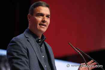 Sánchez anuncia un proyecto para la agroindustria por mil millones - EFEagro