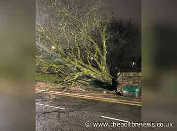 Chapletown Road and Turton Road closed after a tree fell