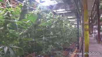 State to crack down on illegal gifting of marijuana at unlicensed businesses