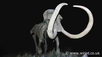 You're (Maybe) Gonna Need a Patent for That Woolly Mammoth