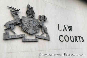 Accused demonstrated 'pattern of disregard' before crash that killed dogwalker: Crown – Comox Valley Record - Comox Valley Record