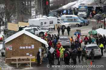 Judge grants interim injunction against loud honking at Ottawa protest - Comox Valley Record