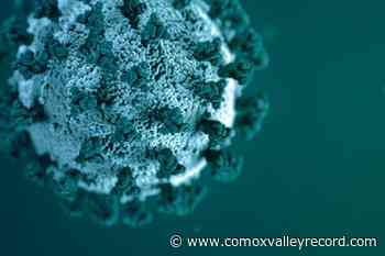 Evidence suggests B.C.’s Omicron wave may soon fade - Comox Valley Record