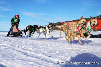 BC dog sled race draws competitors from around the world – Chilliwack Progress - Chilliwack Progress