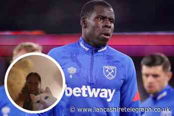 East Lancs cat lovers slam Kurt Zouma cat kicking video