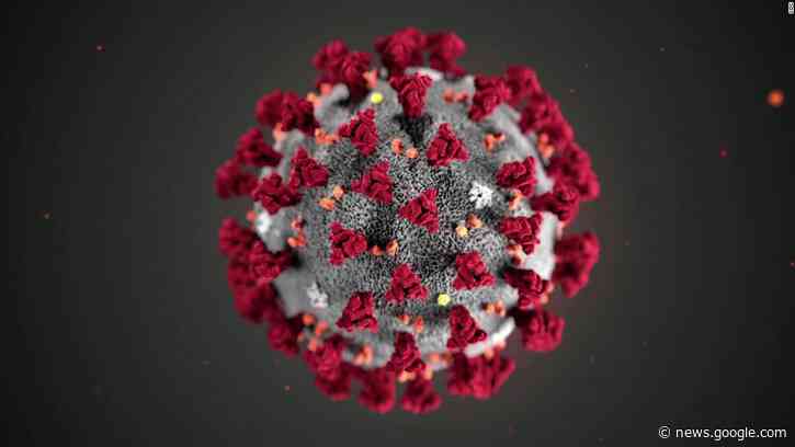 Canada's Covid-19 trucker protests go global - CNN