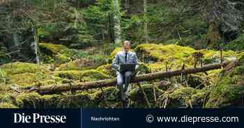 Digitale Gadgets verstärken Belastung - DiePresse.com