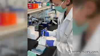 UVM research sheds new light on delta variant of COVID - WCAX