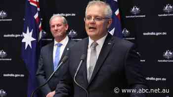 Scott Morrison says Richard Colbeck has appeared before the Senate Select Committee on COVID-19 'many, many times'. Is that correct? - ABC News