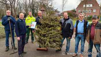 Erfolgreiche Aktion: Tannenbäume gegen Spende in Apen abgegeben - Nordwest-Zeitung