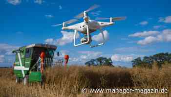 Daten: Drei Strategien, um mit datenbasierten Services Geld zu verdienen