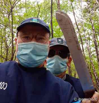 Machete e scimitarra: inquietanti ritrovamenti accanto alla Saronno-Monza - ilSaronno