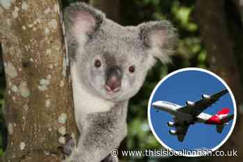 Flights from Luton Airport to Australia for 2022