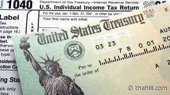 Taxpayer advocate warns millions could face delays in having returns processed by IRS