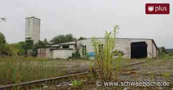 Gemeindecheck im Kreis Ravensburg: Thema Bauen beschäftigt Baienfurt - Schwäbische