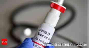 Coronavirus Omicron variant India live updates: Glenmark launches nasal spray for treatment of Covid-19 - Times of India