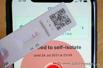 Basildon: Adrian-Marius Vlad given Covid fine | Echo - Echo