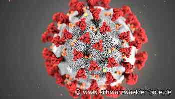 Corona im Kreis Calw: Inzidenz sinkt leicht auf 1514