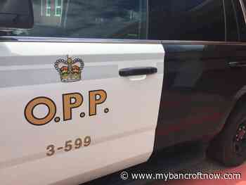 Arson investigation underway near Bird’s Creek