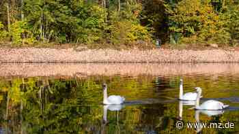 Streit wegen Steinen am Saaleufer in Halle geht weiter - Mitteldeutsche Zeitung