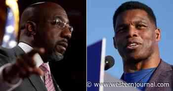 Herschel Walker's Senate Chances May Swell as Scandalous Detail on Warnock's Campaign Comes Out