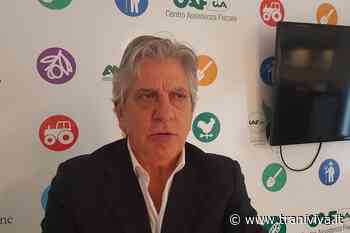 Daunia e Bat insieme, approvato l’ampliamento del Distretto Puglia Federiciana - TraniViva