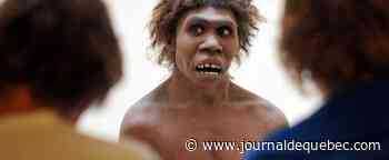 Homo sapiens est arrivé en Europe bien plus tôt que rapporté