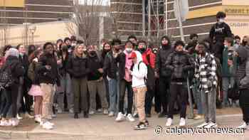 Calgary teen's pizza sharing prompts police response, students claim system is broken - CTV News Calgary