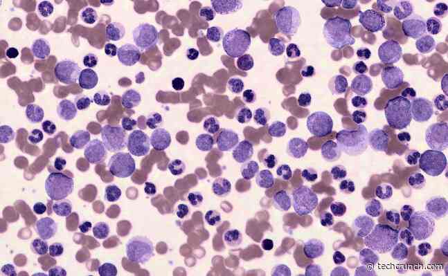 Scopio aims to turn hematology into remote work with $50M C round