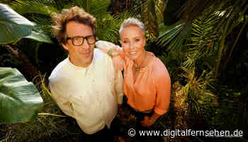 Daniel Hartwich steigt beim Dschungelcamp aus - DIGITAL FERNSEHEN - Digitalfernsehen.de