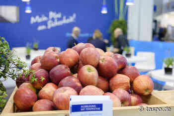 Fruchtwelt Bodensee: Digital-Event statt Präsenzmesse | TASPO.de - TASPO