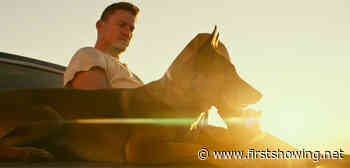 New Valentine's Day Trailer for the 'Dog' Movie with Channing Tatum