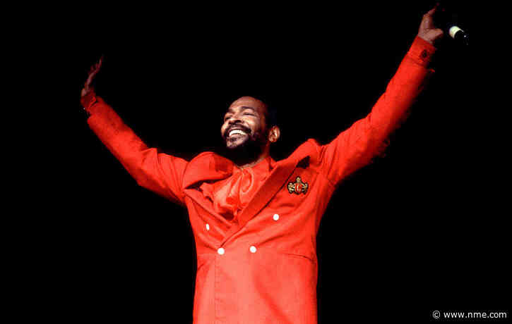 Stafford zoo hires Marvin Gaye impersonator to encourage endangered monkeys to “get it on”