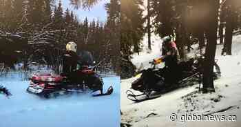 RCMP searching for Sundre wildlife camera thieves