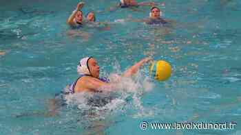 Water-polo (Nationale 1) : Arras, en route pour la deuxième phase ! - La Voix du Nord