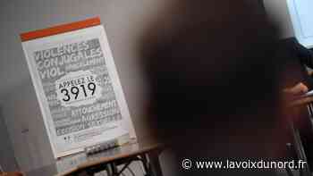 Arras : en garde à vue pour des violences conjugales réciproques - La Voix du Nord