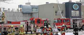 [EN IMAGES] Incendie chez Bagel Maguire: près de 80 pompiers pour une 5e alarme