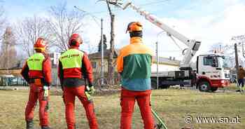Experten plädieren für Umdenken bei Bau der Stadtstraße - Salzburger Nachrichten