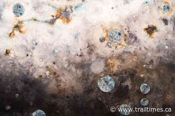 Journey with the Kootenay Gallery in 2022 – Trail Daily Times - Trail Times