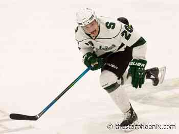 Perfect timing: Right time, right place for Huskies' January addition Aiden Bulych