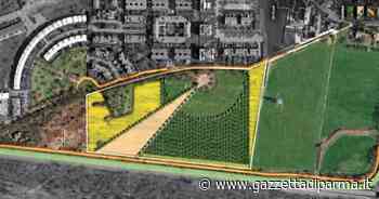 Parma avrà un bosco della memoria per le vittime del Covid - Gazzetta di Parma