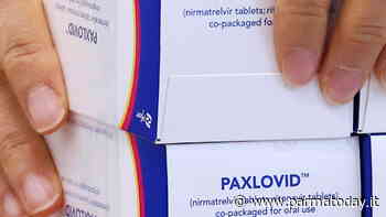 Coronavirus, parte a Parma la somministrazione di Paxlovid - ParmaToday