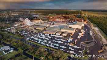 $63m for Australian-first manufacturing plant, Timberlink sawmill expansion completed