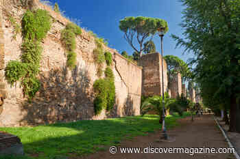 Invasive Plants Are Threatening Rome's Ancient Monuments