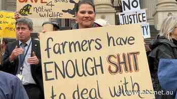 Farmer 'blindsided' by Victorian government ruling for public camping, fishing access on his licensed land