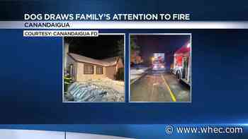 Good boy! Dog credited with alerting Canandaigua woman and grandson of house fire